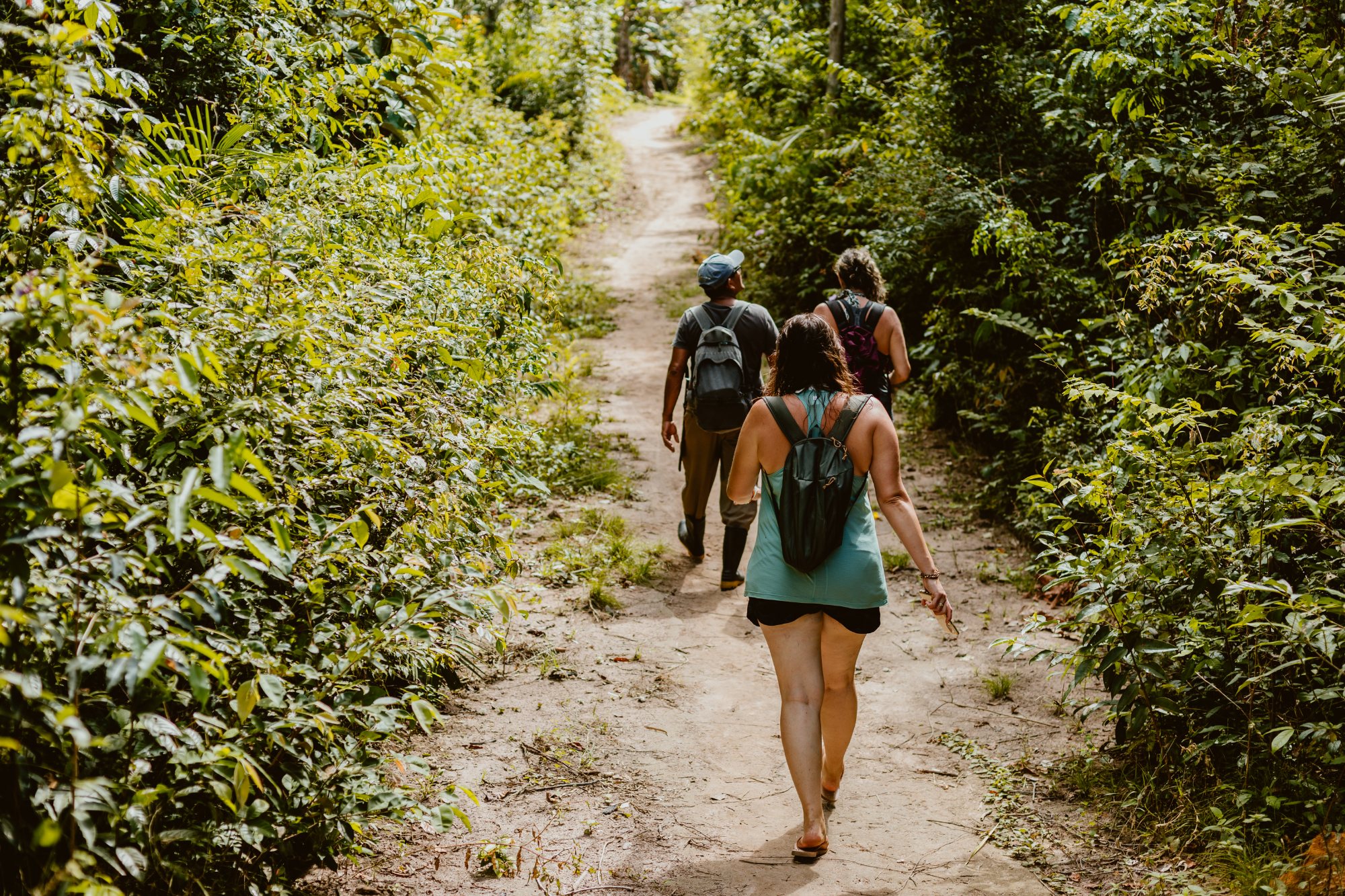 Visitantes caminhando em fila por uma trilha de areia na mata